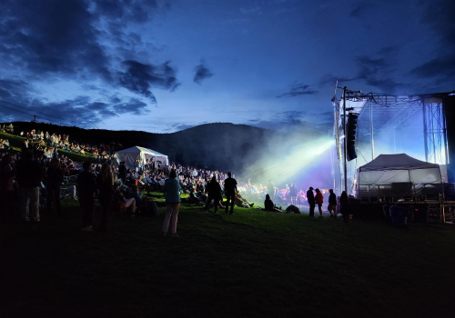 An outdoor concert with a crowd on a grassy hill, stage with lights, during dusk.