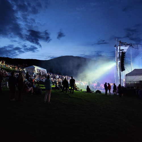 An outdoor concert with a crowd on a grassy hill, stage with lights, during dusk.