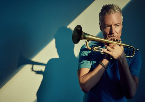 A person is playing a trumpet, with their shadow cast on the wall behind in dramatic lighting.