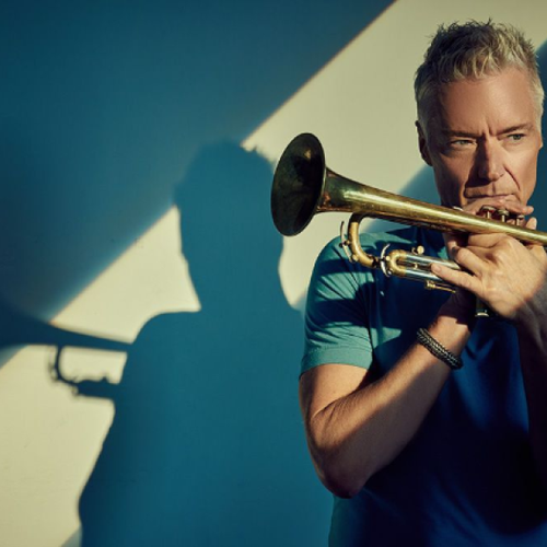 A person is playing a trumpet, with their shadow cast on the wall behind in dramatic lighting.