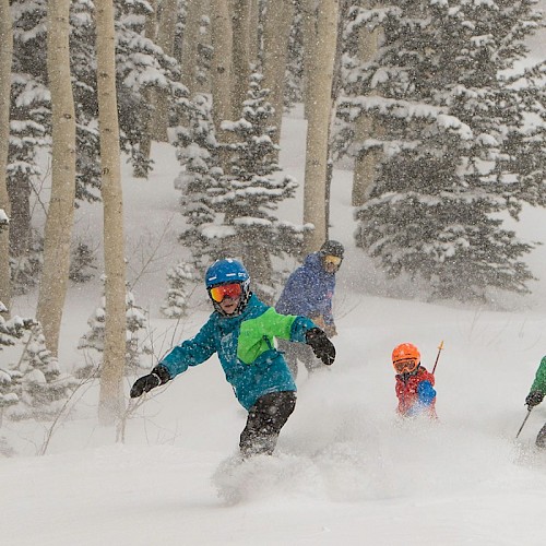 People snowboarding and skiing through a snowy forest, wearing colorful gear, with snow-covered trees in the background.