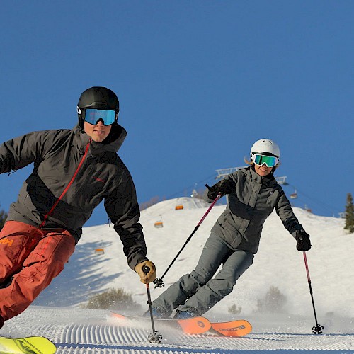 Two skiers in gear glide skillfully down a snowy slope under a clear blue sky, surrounded by scattered trees in the background.